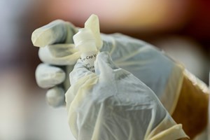 Cientistas descobrem potencial tratamento 'altamente eficaz' contra a covid-19