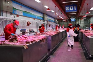 Está a China a tentar evitar ser a origem da pandemia?