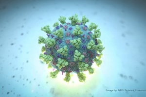 Inteligência Artificial resolve um dos maiores mistérios da biologia