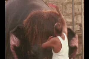 Untitled Project ‐ Made with Clipchamp.mp4