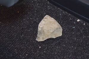 Suspeitos de apedrejar autocarro do Benfica são elementos da ala radical dos No Name Boys