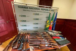 armas grn santarém violência doméstica