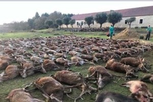 Ambientalistas dizem que 'massacre da Torre Bela' justifica revisão da Lei da Caça