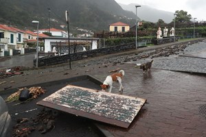 Proteção Civil regista 96 ocorrências na Madeira devido ao mau tempo