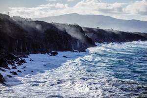 Chuva e vento provocam inundações e quedas de árvores nos Açores
