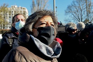 Ana Gomes: 'Eu sei que incomodo o centrão dos interesses'