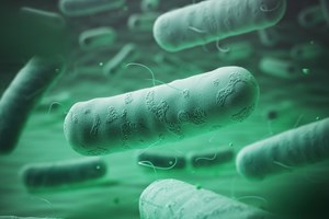O que é a legionella?