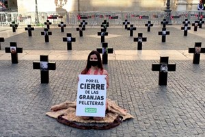 Ativista protesta nua contra o uso de produtos com pêlo de animais e cabedal