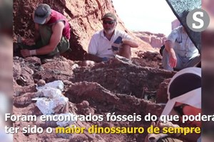 Fósseis na Argentina podem ser do maior dinosssauro alguma vez descoberto