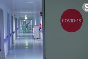 'Sem fim à vista': Hospital de Cascais com 16 camas de UCI para covid-19 ocupadas