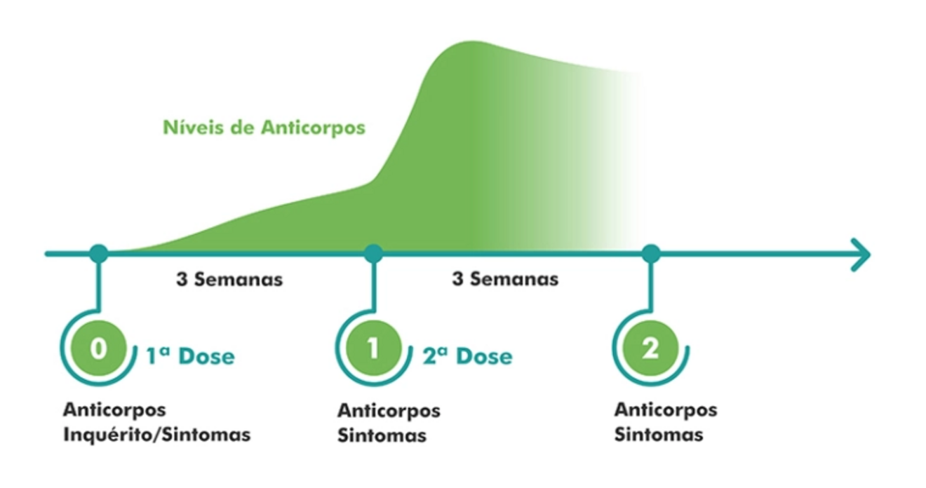 Níveis anticorpos - Vacina Covid-19