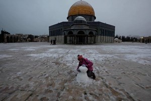 Guarda e Castelo Branco sob aviso amarelo devido à queda de neve