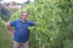 Anselmo Mendes: 'O vinho tem de exprimir a terra de onde vem'