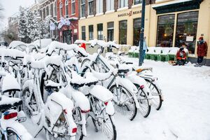 Tempestade de neve, Países Baixos