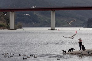 Há 20 anos, caía a ponte de Entre-os-Rios. 59 pessoas morreram