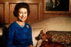 Isabel II animada com os seus novos cães