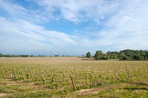 021_03_05_GPS_Tema_Vinhos.mp4