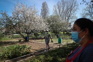 Covid-19: 309 infetados e 6 mortes nas últimas 24 horas