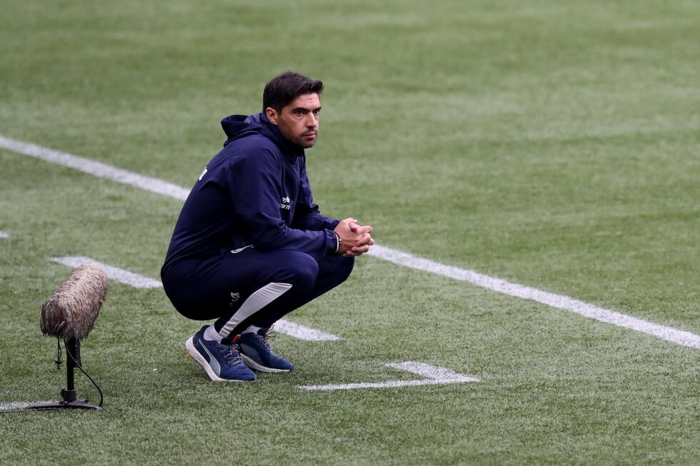 Abel Ferreira Palmeiras