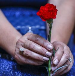 25 Abril: Sessão solene em conjuntura de guerra no Médio Oriente e revisão da lei laboral no país