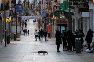 Espanha procura voluntários para semana de trabalho de quatro dias