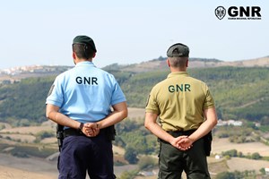 GNR deteve 51 pessoas e registou 1.100 crimes ambientais em 2020