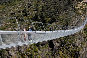 Na maior ponte pedonal suspensa do mundo nem os mais nervosos resistem à travessia