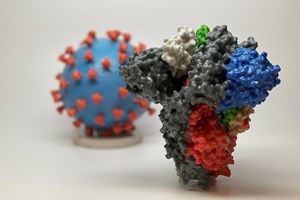 Covid-19: Cientistas dizem que Ómicron é um alerta da ameaça do vírus