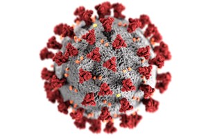 Covid-19. Cientistas desvendam mutação que torna a variante Delta tão contagiosa