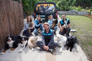 Vendas de câmaras para vigiar animais de estimação disparam