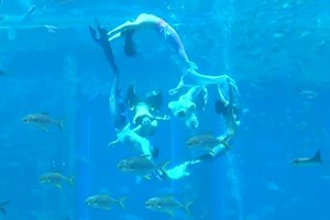 O maior espetáculo subaquático de sereias entrou para o Guinness