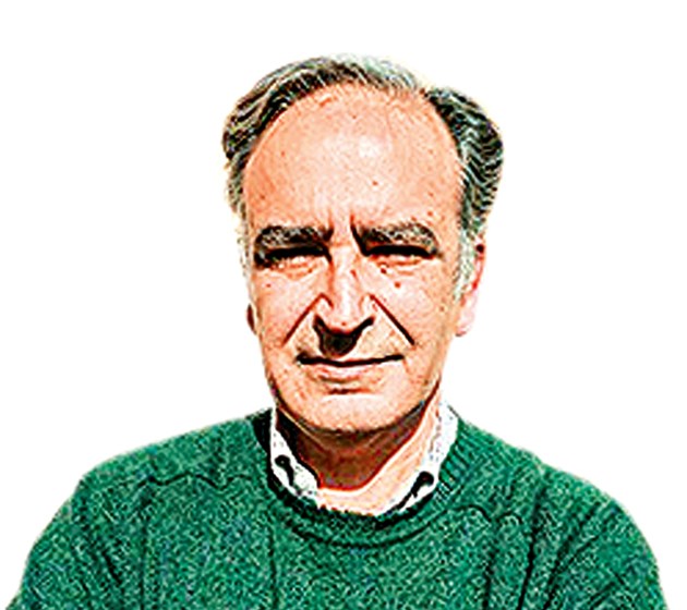 António Araújo