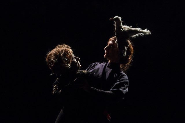 Que marionetas traz o FIMFA deste ano a Lisboa?