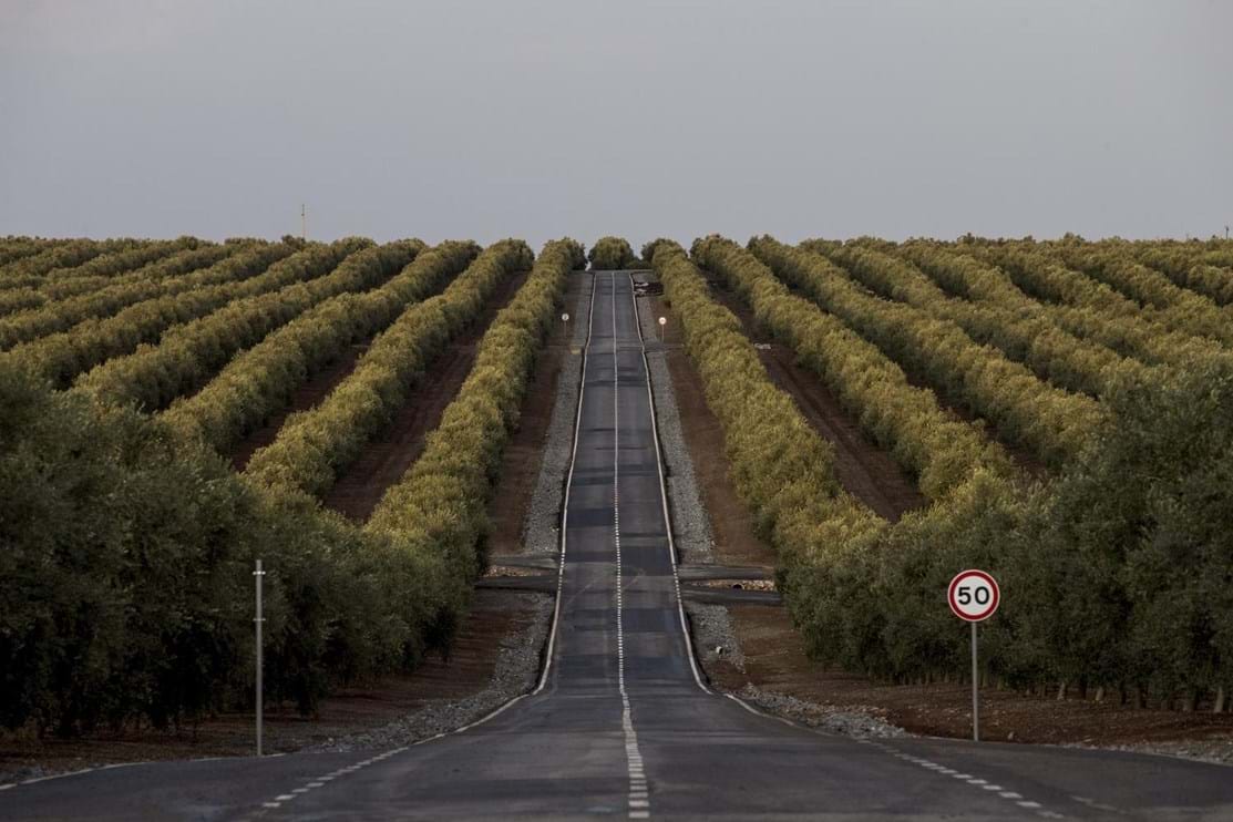 Novos Donos do Alentejo