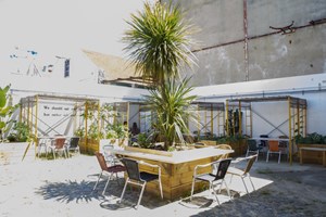 Lisboa tem uma nova esplanada onde o café faz nascer cogumelos