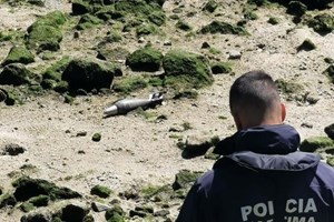 Duas munições de morteiro encontradas na margem do rio Douro em Gaia