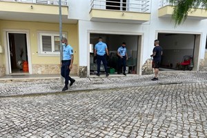Suspeito de deixar cães à morte dentro de vivenda em Loures entrega-se à GNR