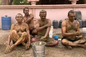 Banho com excrementos de vaca é o novo ritual para a cura da Covid-19 na Índia - sábado