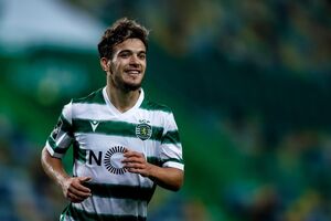Pedro Gonçalves