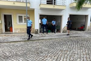 Animais foram encontrados mortos numa vivenda em Bucelas, Loures