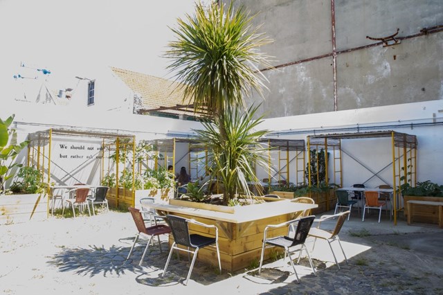 Lisboa tem uma nova esplanada onde o café faz nascer cogumelos