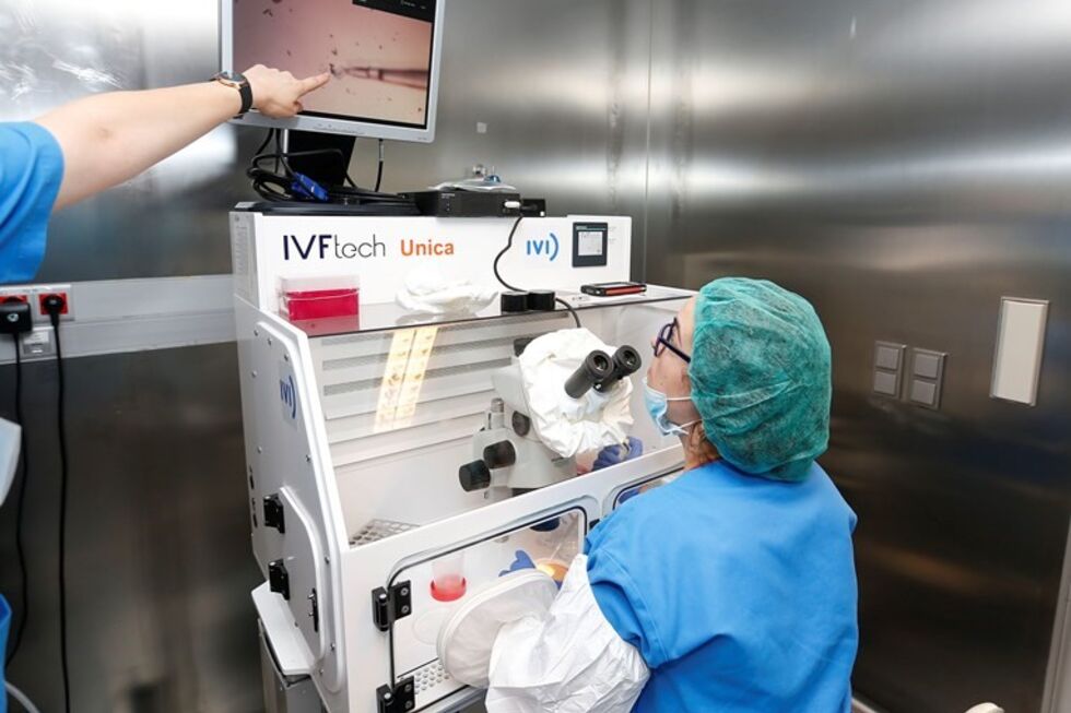 Número de mulheres solteiras e de casais a aguardar por gâmetas no âmbito das Procriação Medicamente Assistida aumentou, enquanto as doações caíram a pique