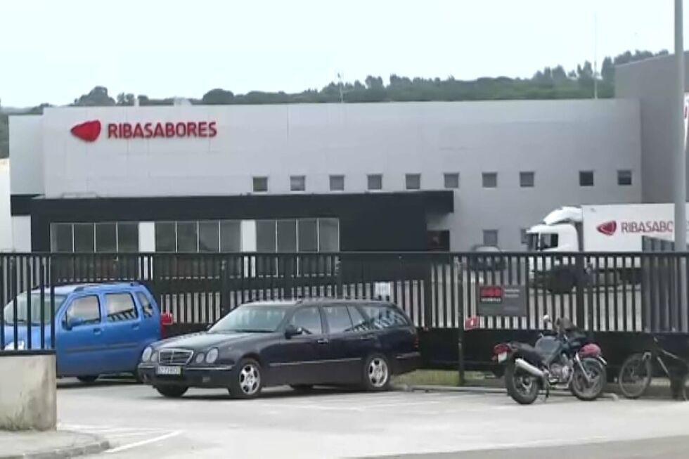 Cinco touros fugiram do matadouro e estão à solta em Tomar