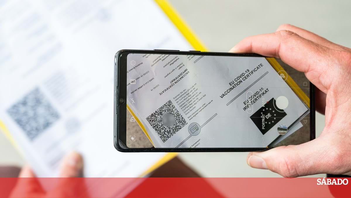 Covid 19 Aplicacao Para Leitura Do Certificado Digital Ja Disponivel Para Telemoveis Ultima Hora Sabado