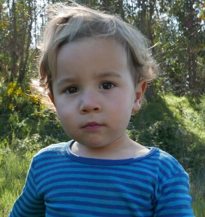 Noah desapareceu com a cadela, Melina