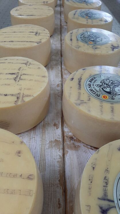 Riqueza e diversidade de produtos