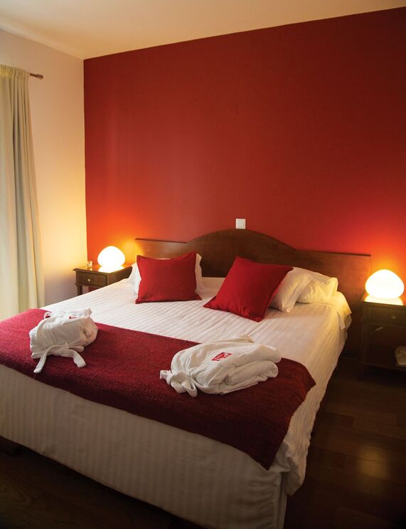 Alcides: ao sabor do sucesso