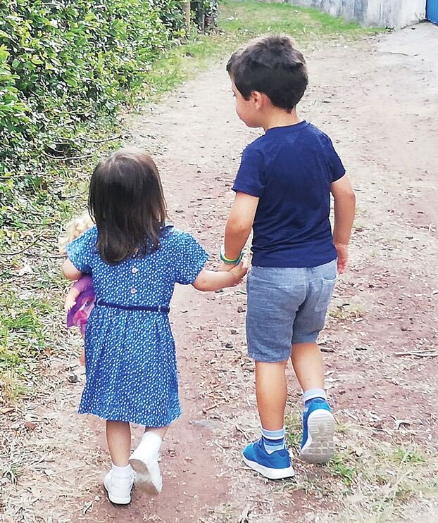 Alcides: ao sabor do sucesso