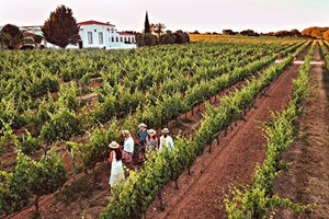 As melhores provas de vinhos no Alentejo