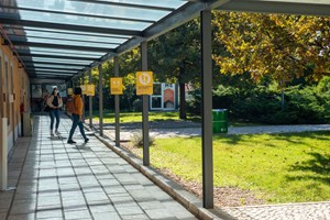 Filhos na universidade? Conheça a escolha certa para o futuro